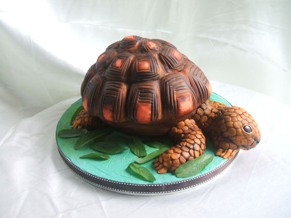 turtleside1.jpg